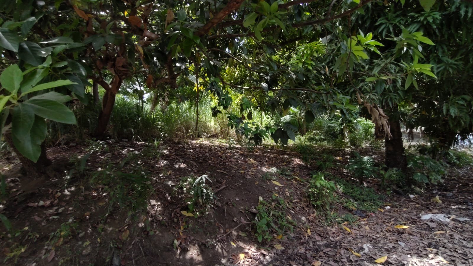 Propiedades tipo villa