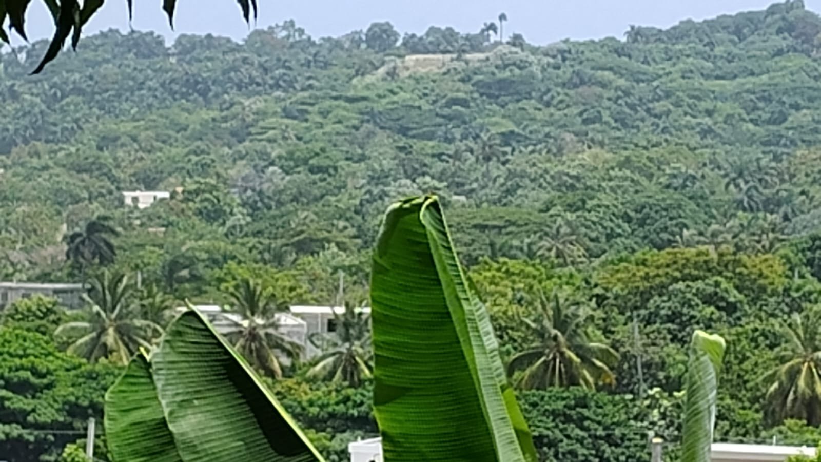 Vive frente al Caribe